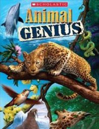 Animal Genius pobierz