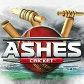 Ashes Cricket pobierz