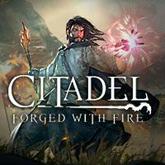 Citadel: Forged with Fire pobierz
