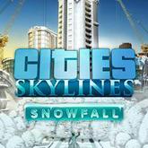 Cities: Skylines - Snowfall pobierz