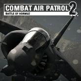 Combat Air Patrol 2: Military Flight Simulator pobierz