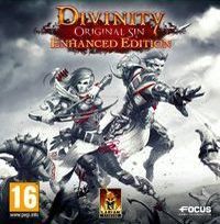 Divinity: Original Sin - Enhanced Edition pobierz