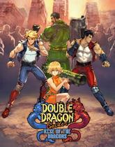 Double Dragon Gaiden: Rise of the Dragons pobierz