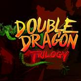 Double Dragon Trilogy pobierz