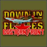 Down in Flames: Eastern Front pobierz