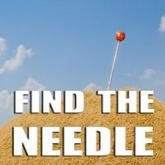 Find The Needle pobierz