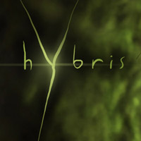 Hybris pobierz