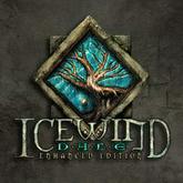 Icewind Dale: Enhanced Edition pobierz