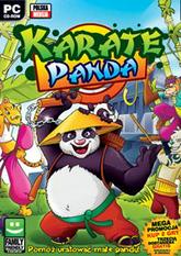 Karate Panda pobierz