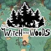 Little Witch in the Woods pobierz