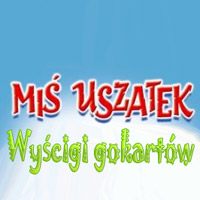 Miś Uszatek: Wyścigi Gokartów pobierz