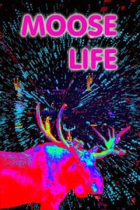 Moose Life pobierz
