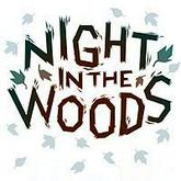 Night in the Woods pobierz