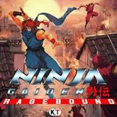 Ninja Gaiden: Ragebound pobierz