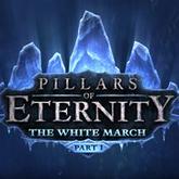 Pillars of Eternity: The White March Part I pobierz