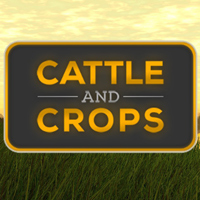 Professional Farmer: Cattle and Crops pobierz
