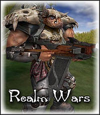 Realm Wars pobierz