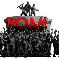 ROAM pobierz