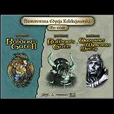 Saga Baldur's Gate: Edycja Kolekcjonerska pobierz