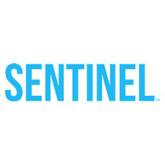 Sentinel (2013) pobierz