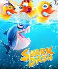 Shark Dash pobierz