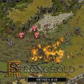 Stronghold: Definitive Edition - Swine's Bay Campaign pobierz