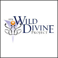 The Journey to Wild Divine pobierz
