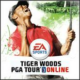 Tiger Woods PGA Tour Online pobierz