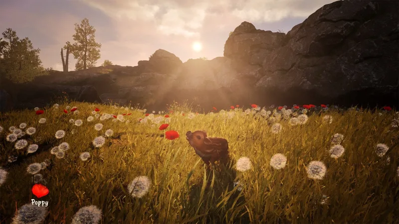 Adorable Adventures screenshot 1