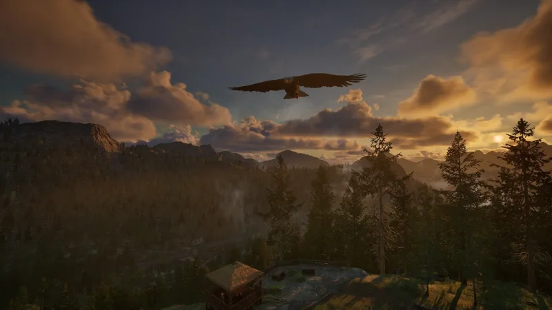 Ranger's Path: National Park Simulator screenshot 1