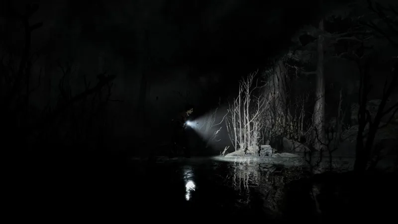 Silver Pines screenshot 1