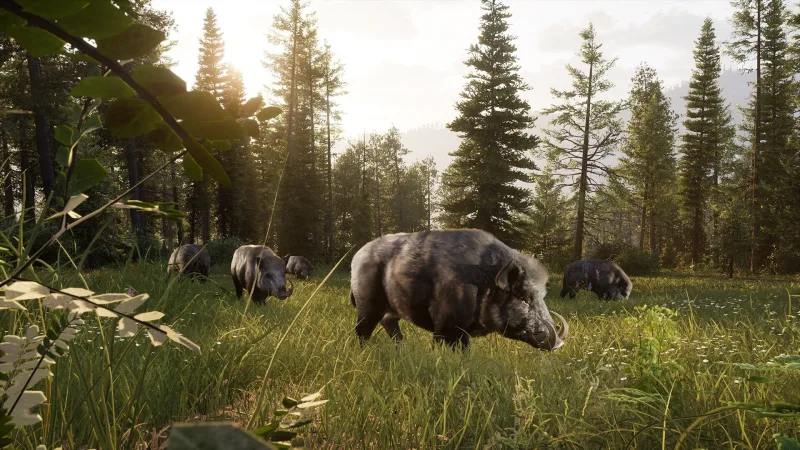 Way of the Hunter 2 screenshot 3
